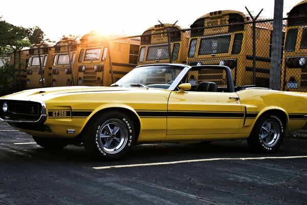 Mustang amarillo retro en la carretera junto a los autobuses amarillos