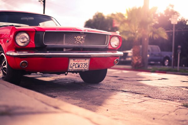 Mustang rouge sur fond de paysage rural