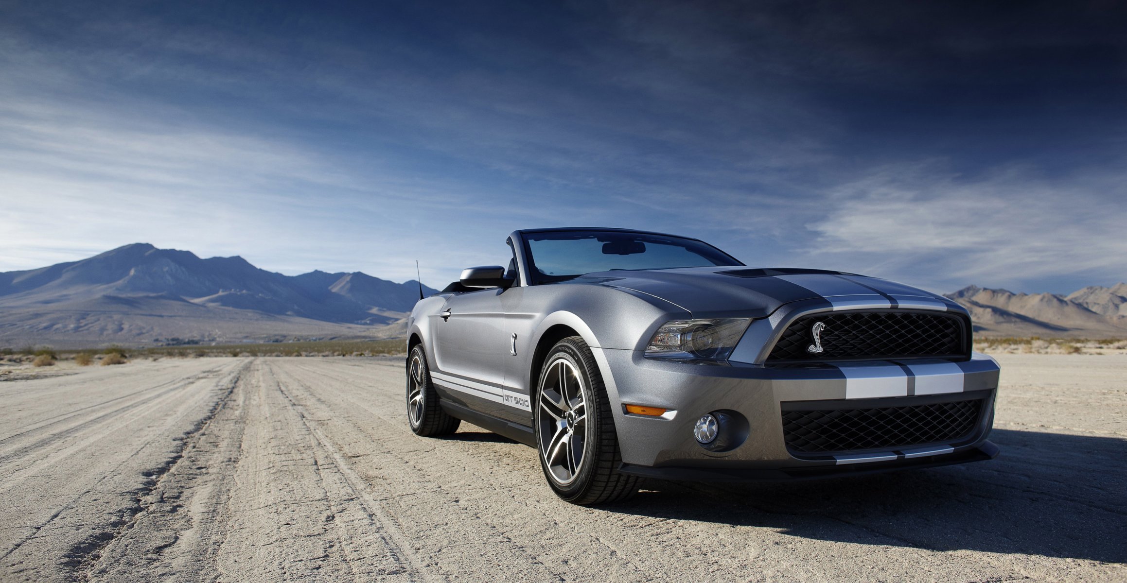 ford mustang shelby cabrio