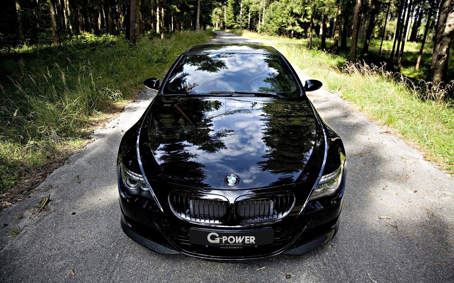 bmw m6 g-power droga las trawa