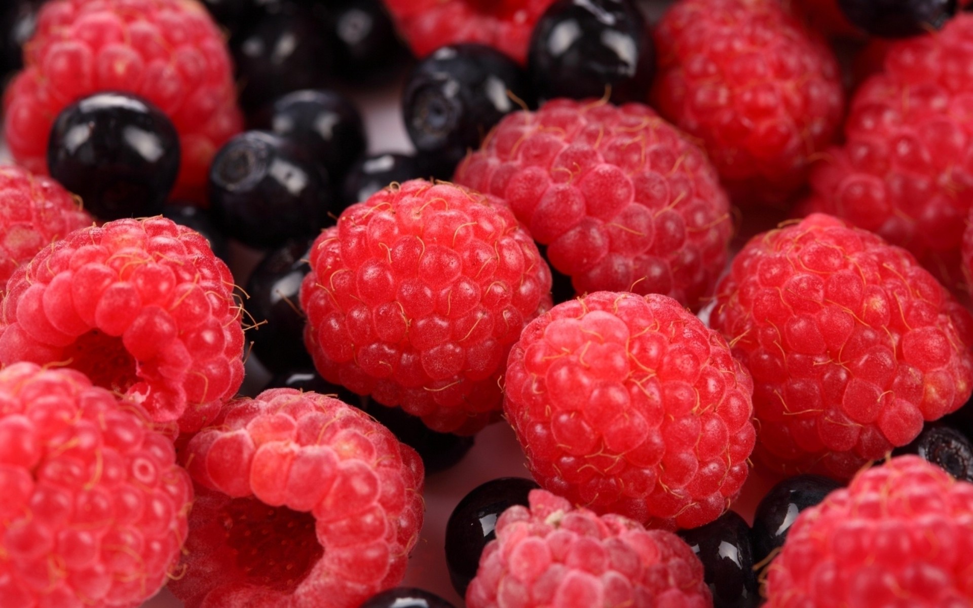 baies framboises mûres