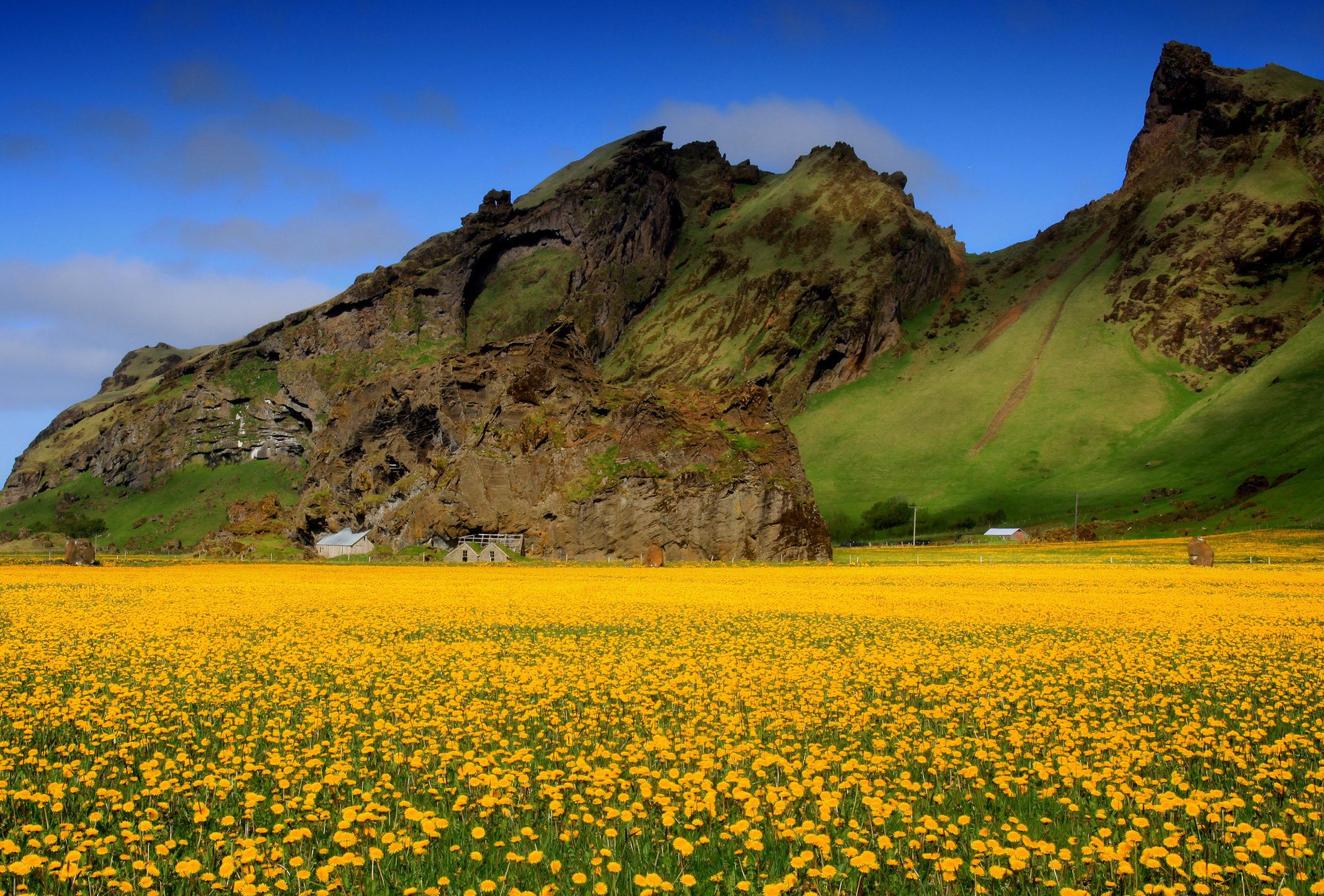 flowers field valley the sky mountains house