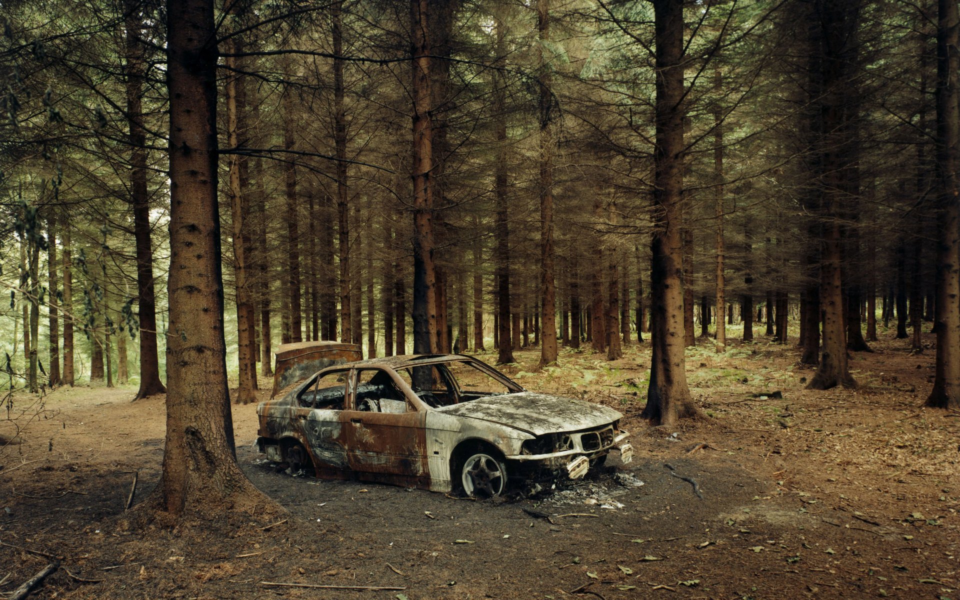 foresta automobile bmw carcassa fuoco