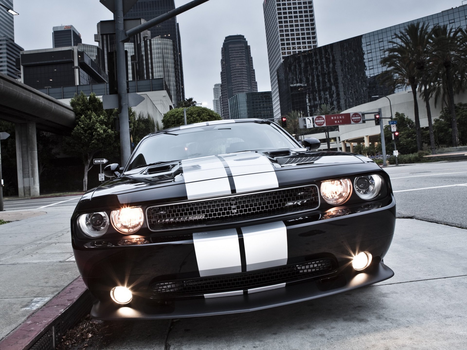 dodge challenger srt8 dodge challenger srt8 muscle car muscle car ville bande phares