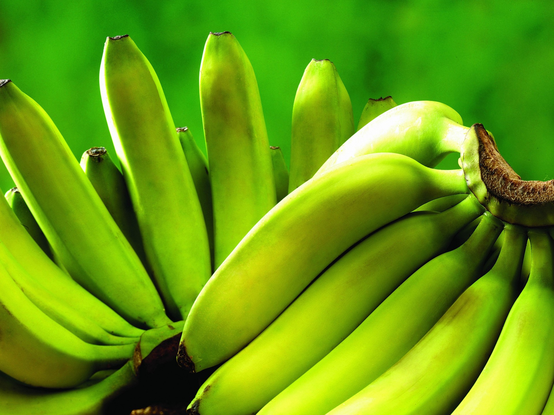 bananes fruits légumes verts