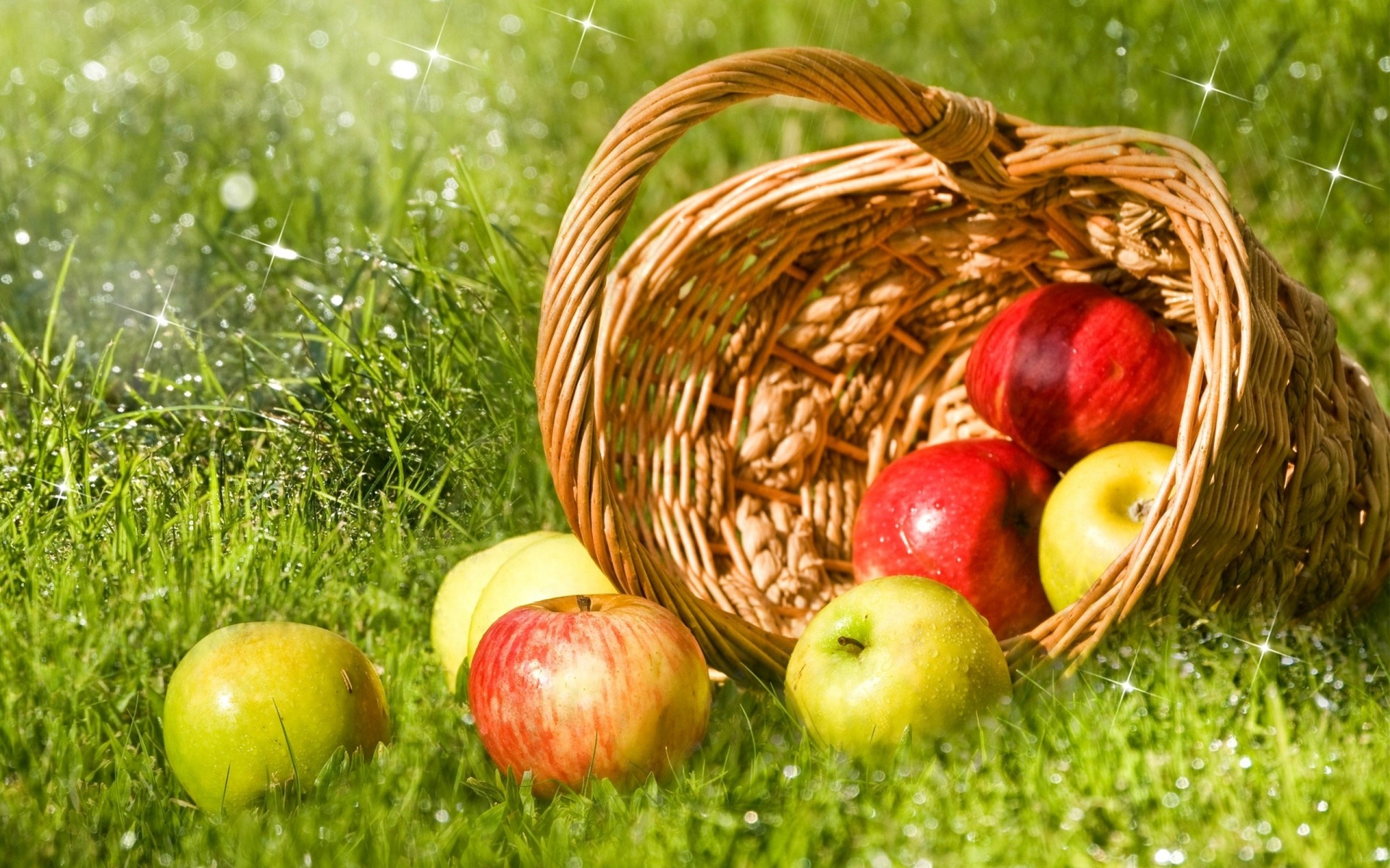 fruits herbe pommes shopping rouge verdure rosée