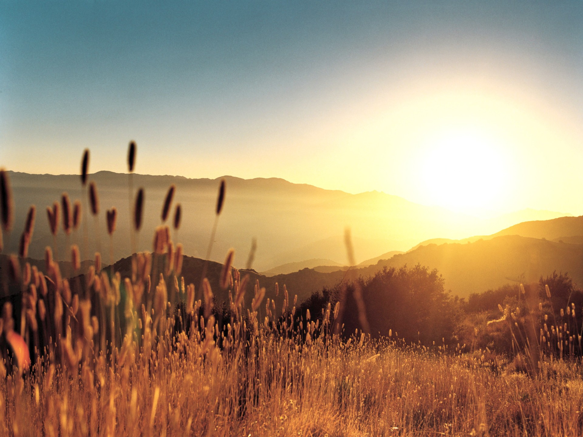 coucher de soleil herbe collines