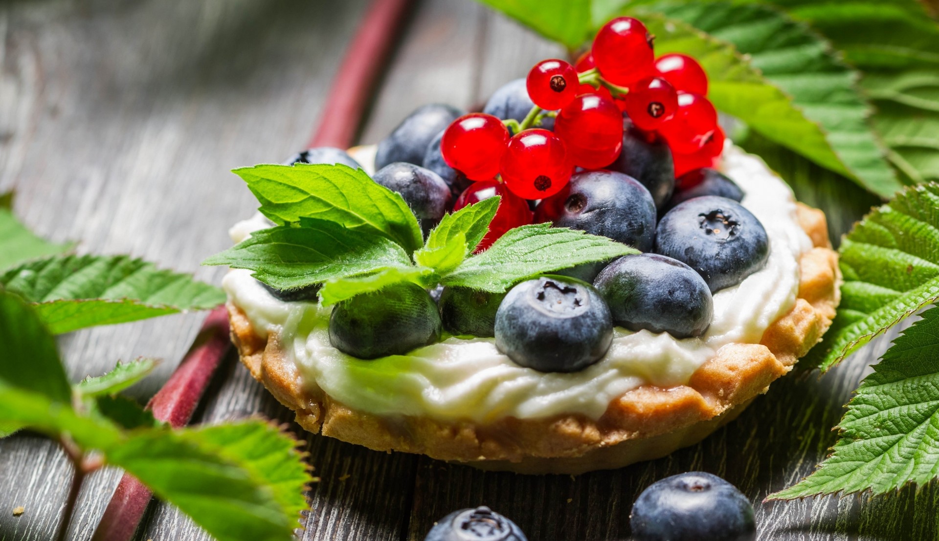 heidelbeeren kuchen beeren rote johannisbeeren