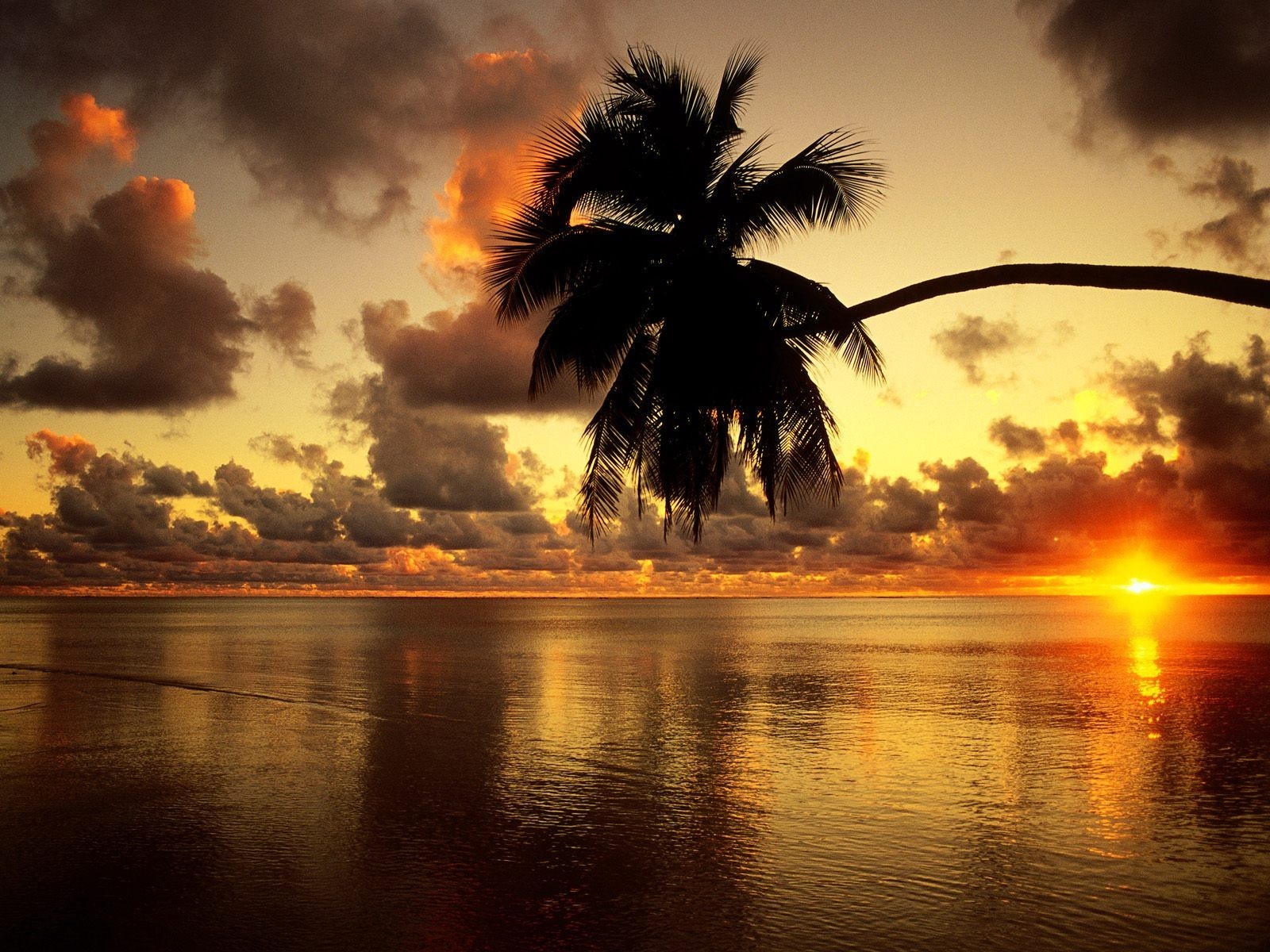 beach sunset palma