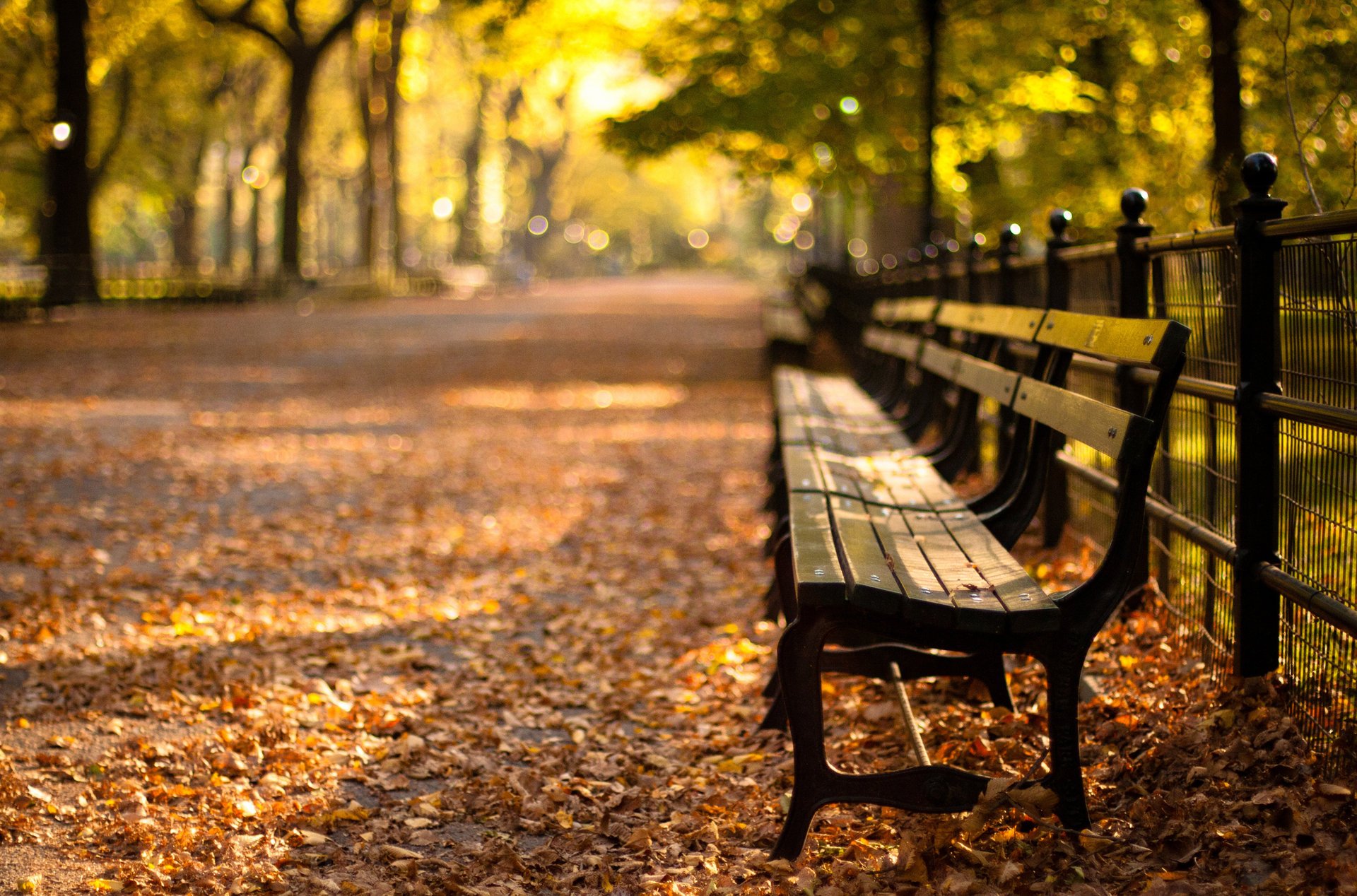 nowy jork central park new york autumn zachód słońca sunset