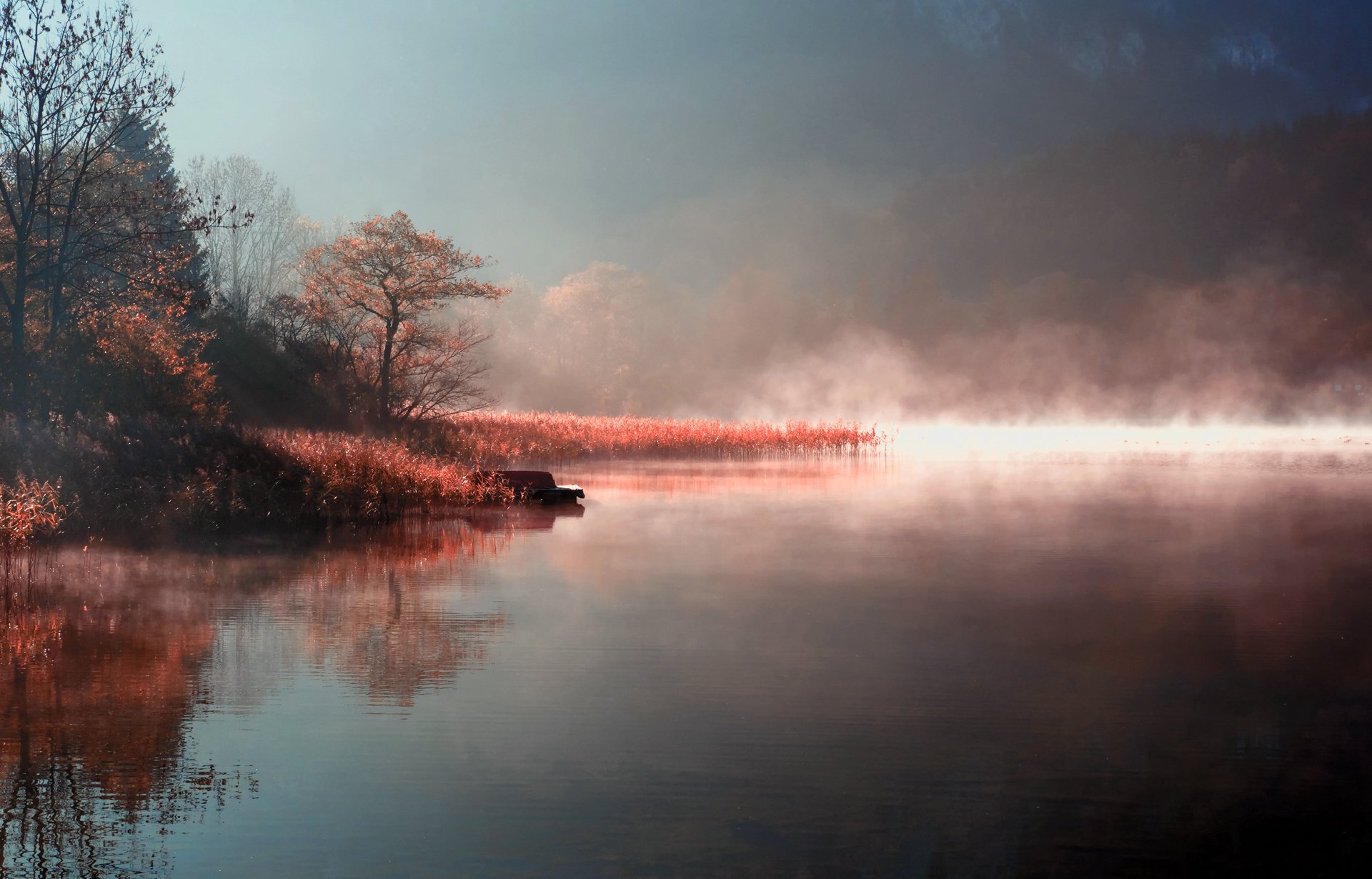 naturaleza mañana vapor otoño lago río niebla orilla