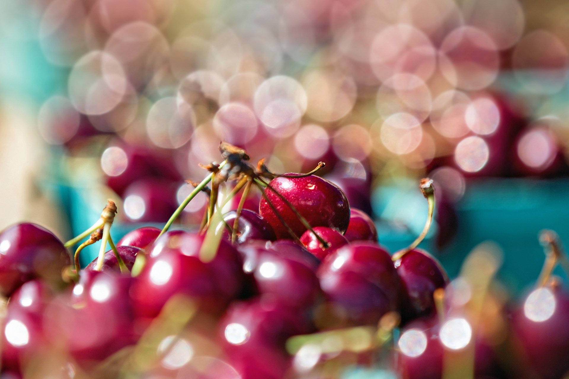 food cherries macro cherries bokeh highlight