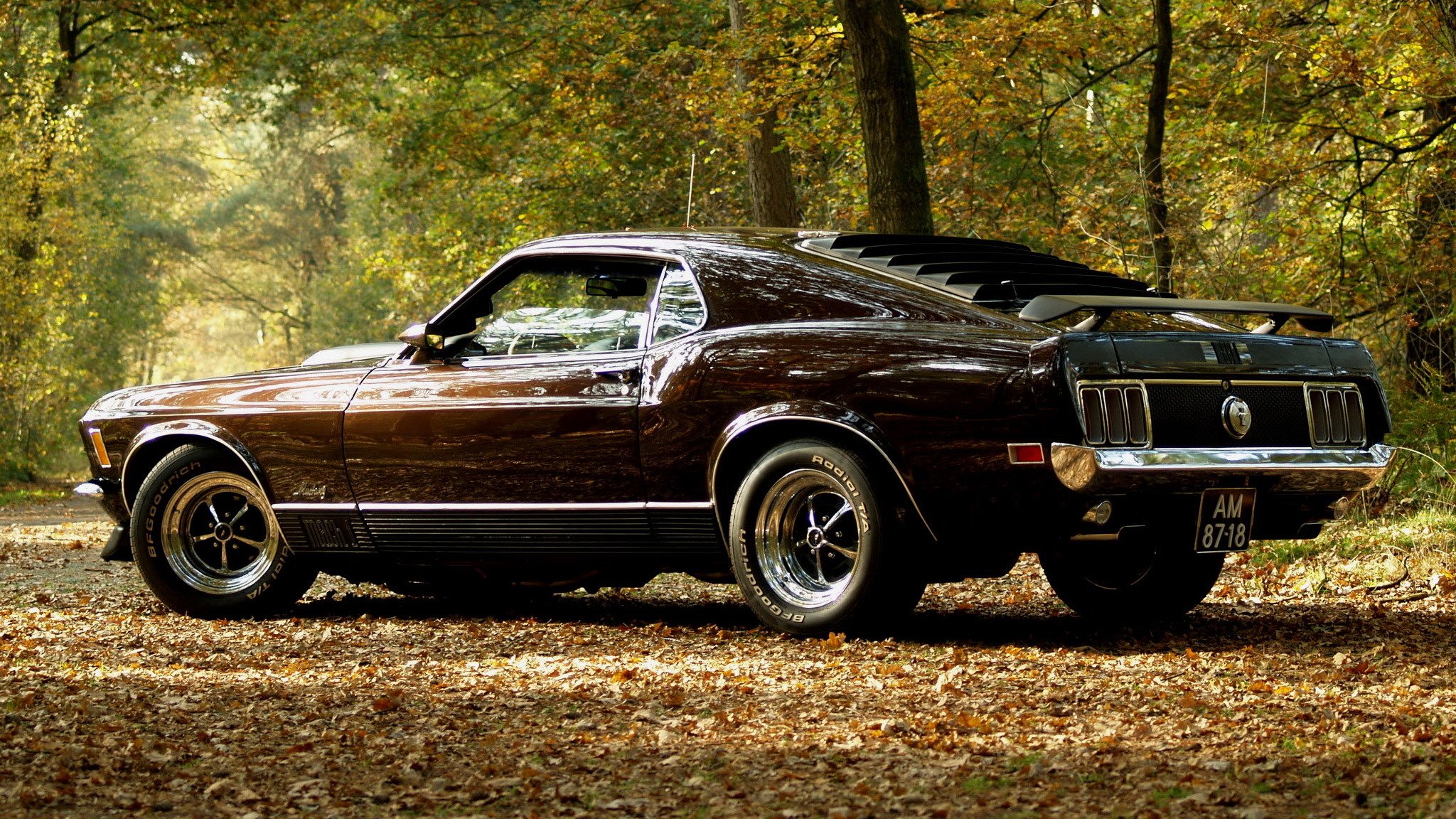 mustang musclecar auto herbst