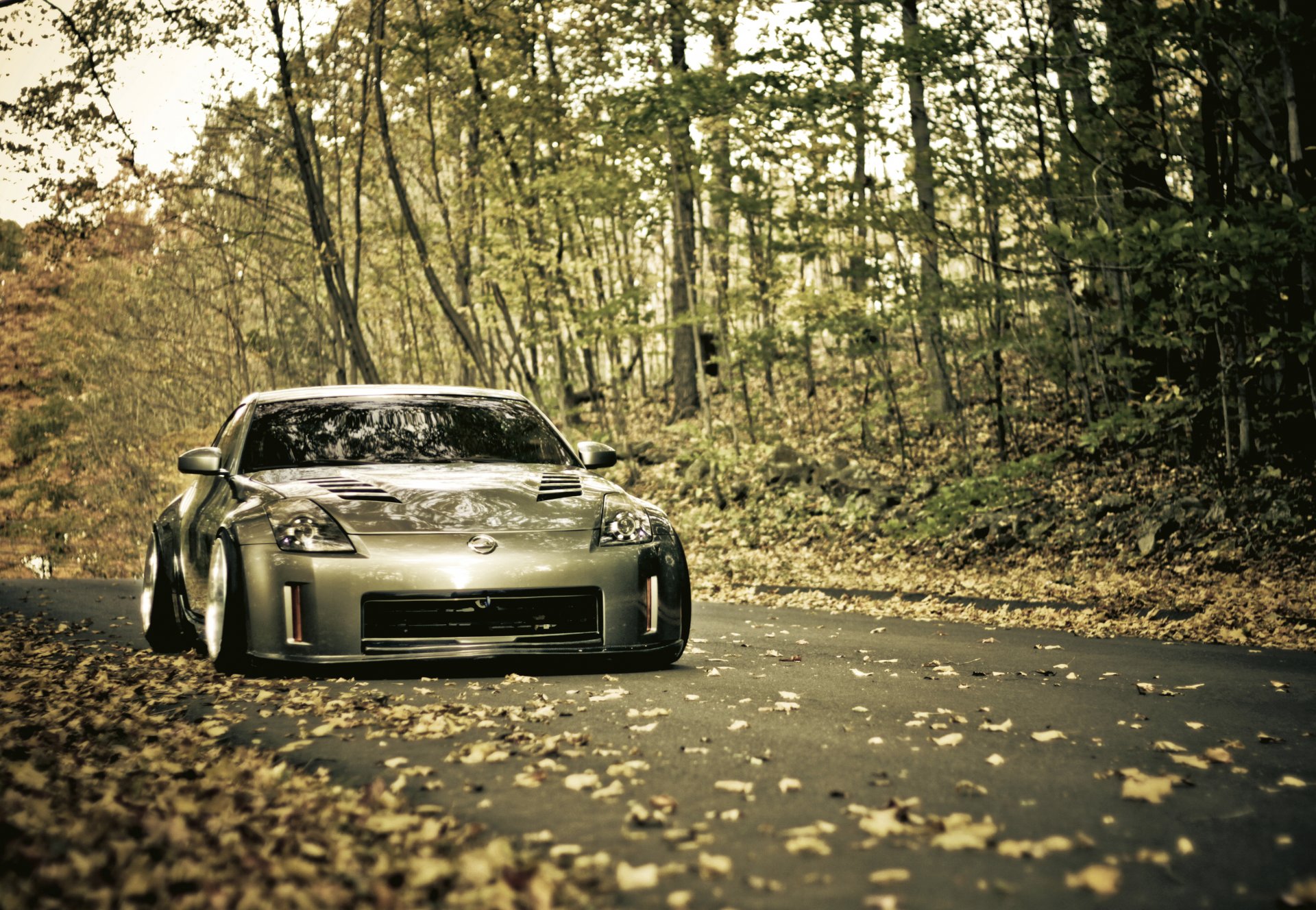 nissan 350z road autumn foliage