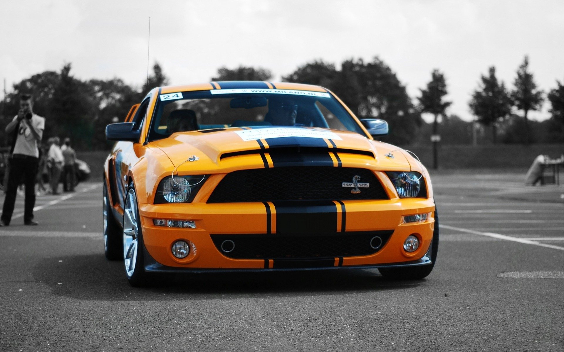 ricerca correlata: auto auto shelby gt500