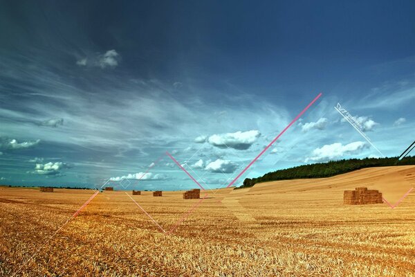 Feld mit geernteter Ernte und Linien