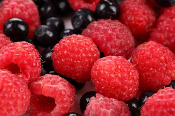 Reife und saftige Beeren von Himbeeren und Johannisbeeren