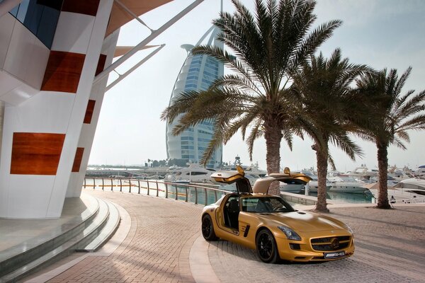 Mercedes against the backdrop of a first-class hotel of palm trees and yachts
