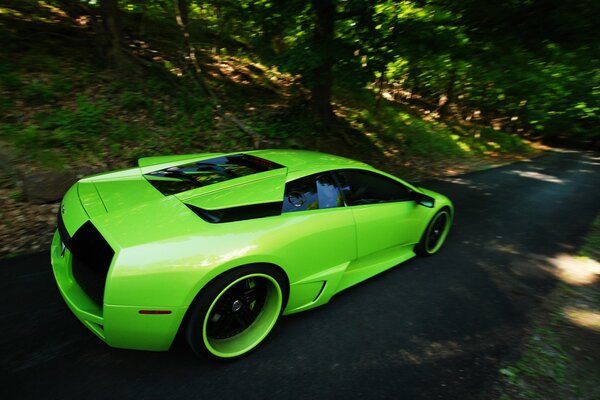 Ein heller, grüner, schneller Lamborghini rast durch den Wald 