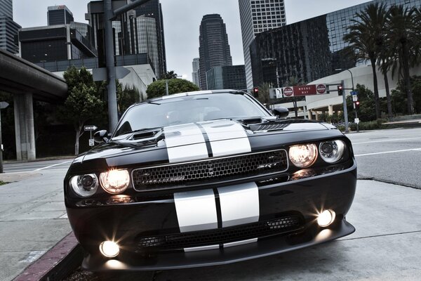 Dodge Challenger muscle car srt 8 zaparkowany w mieście