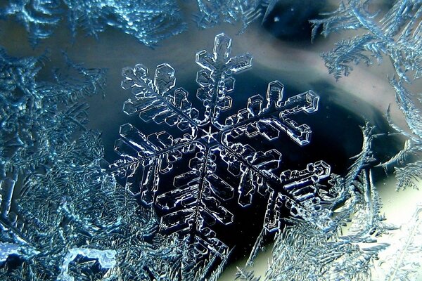 Imagen helada de invierno del copo de nieve frío