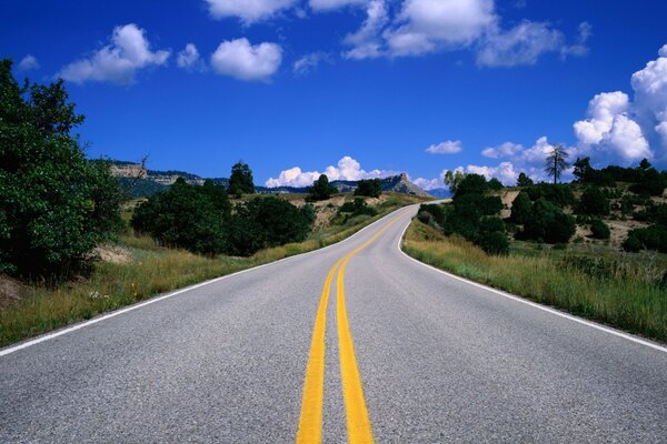 The road to the horizon. Clouds and trees