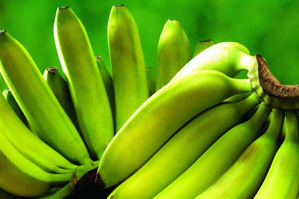 Green bananas will ripen