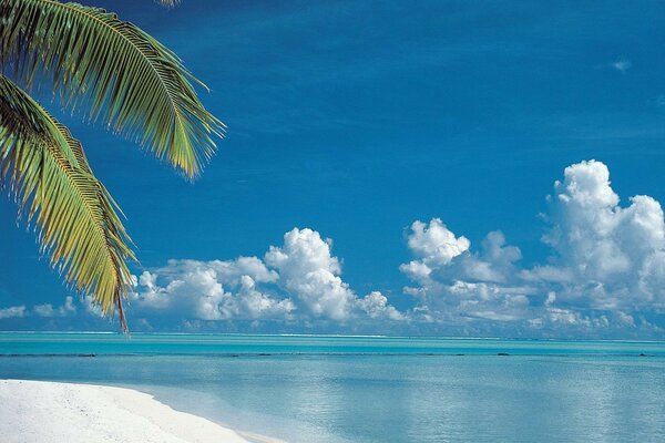 Playa de Aitutaki en la isla Cook