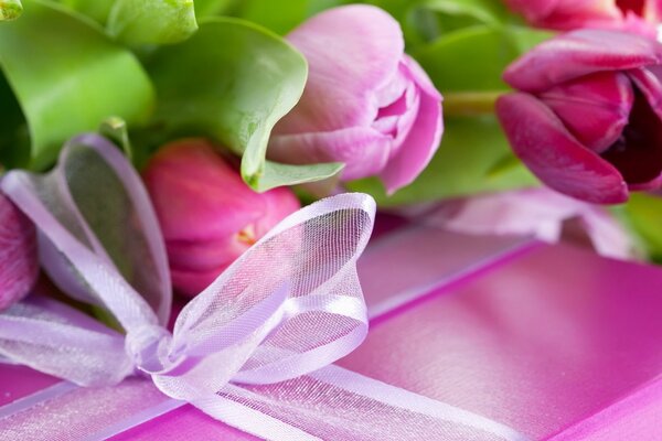 Image of tulips with a gift box