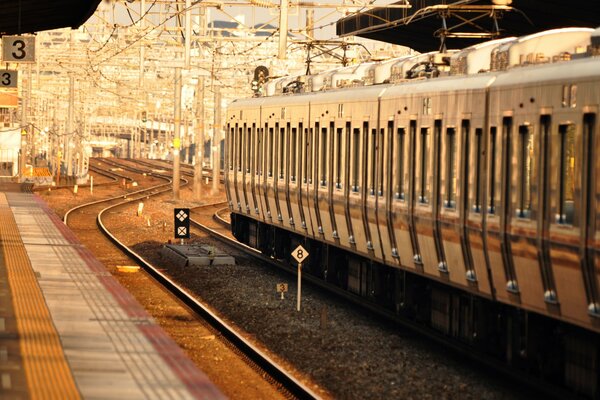 THE TRAIN PASSES BY PERON