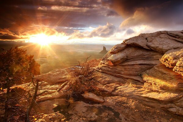 Hay un sol en el horizonte