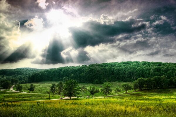 Sommerlandschaft, weitläufige grüne Wälder