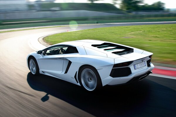 Lamborghini supercar se précipitent sur la piste de montagne à proximité de la pelouse