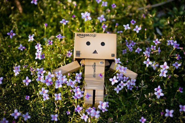 Boîte de robot dans la Prairie