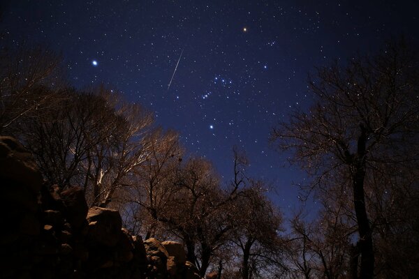 Watching the starry sky at night