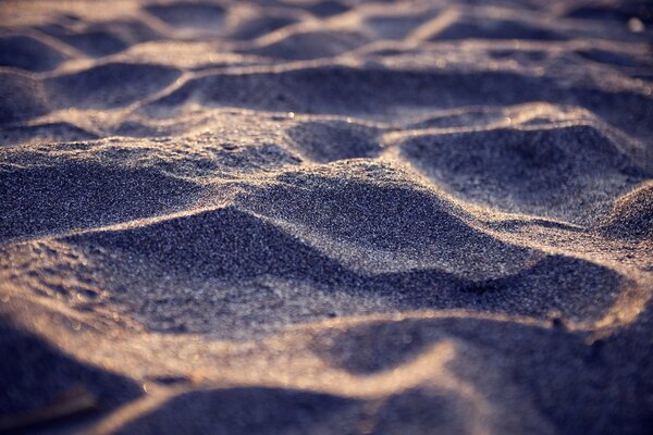 Dunas de arena en la playa
