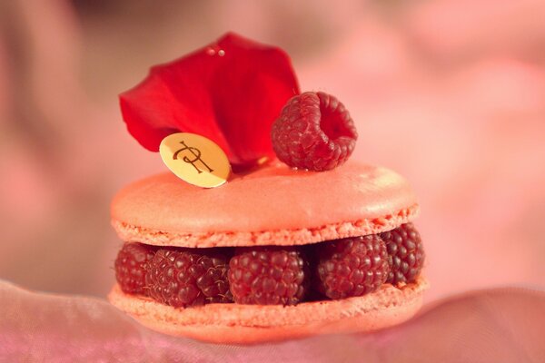 Kekse mit Himbeeren in rosa Tönen