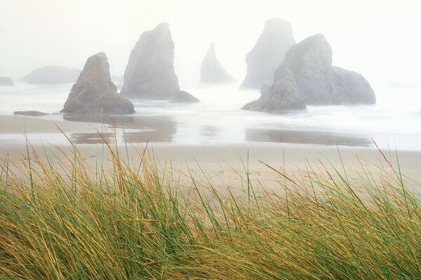 Манящий вид на море и скалы во время тумана