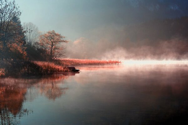 Schleichender Nebel am Seeufer