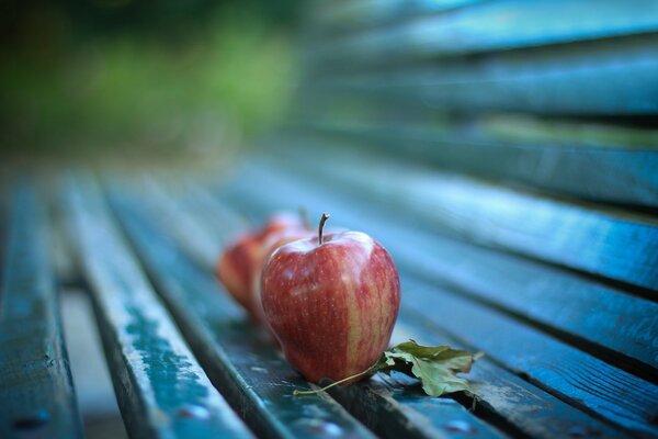 Deux pommes et une feuille sur un banc vide au milieu de l automne