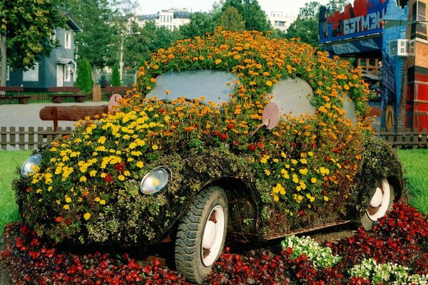 Cama de flores en forma de coche