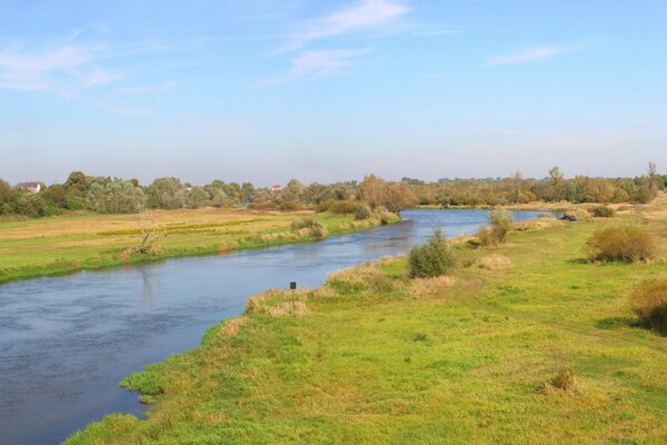 River and trees. Horizon. Landscape