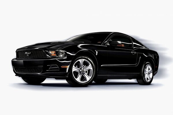 Black mustang on a white background