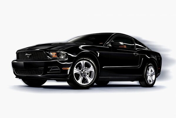 Mustang noir sur fond blanc