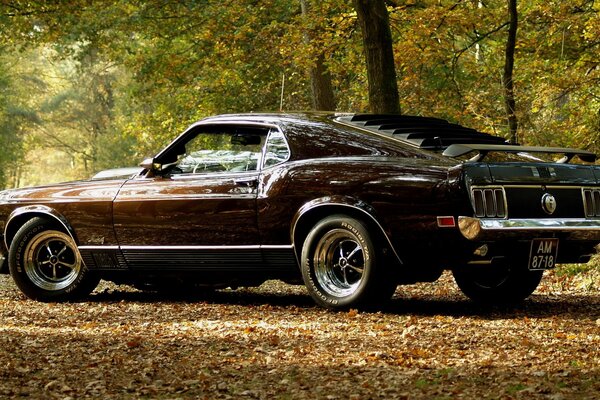 A chic Mustang car on the background of an autumn forest