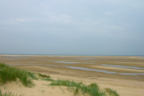 Sandstrand mit Gras bei Ebbe