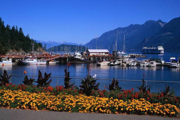 Wonderful view of the town from the moored boat