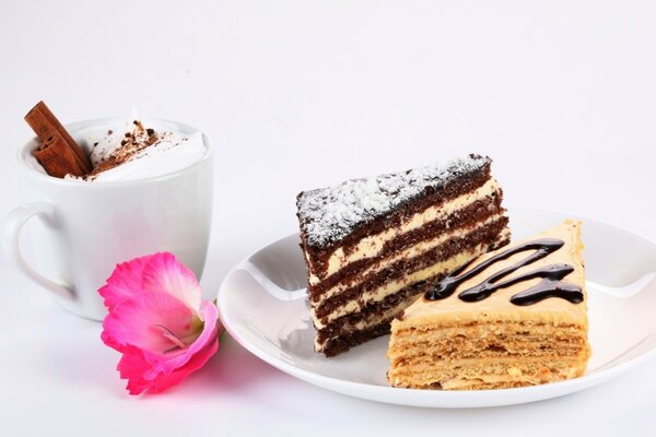 Two pieces of cake on a white plate with a cup of coffee