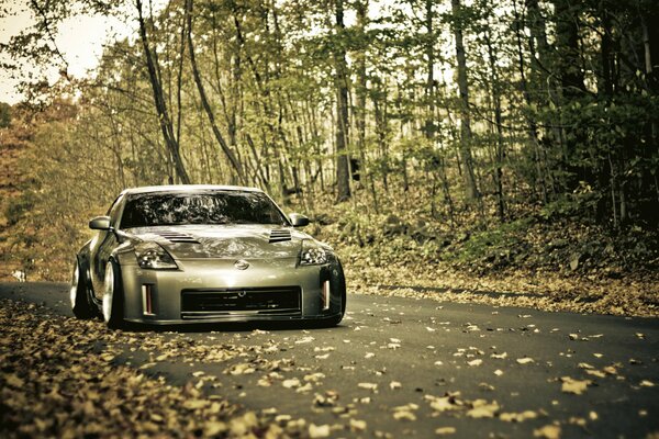 Nissan gris se corta en el camino de otoño