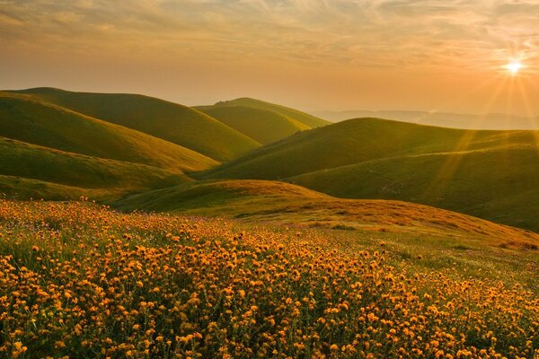 Paysage de Californie Sierra Nevada